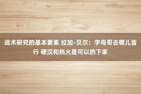 战术研究的基本要素 拉加-贝尔：字母哥去哪儿皆行 硬汉和热火是可以的下家