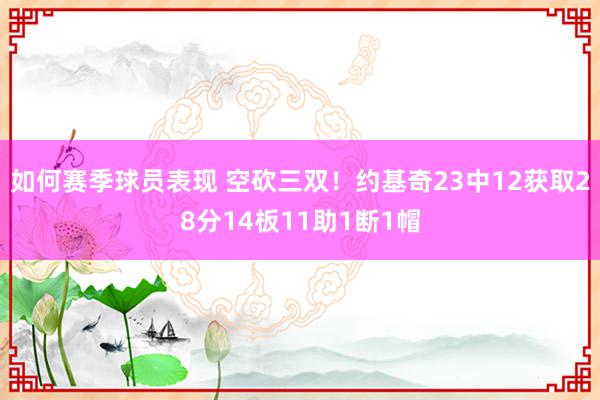 如何赛季球员表现 空砍三双！约基奇23中12获取28分14板11助1断1帽