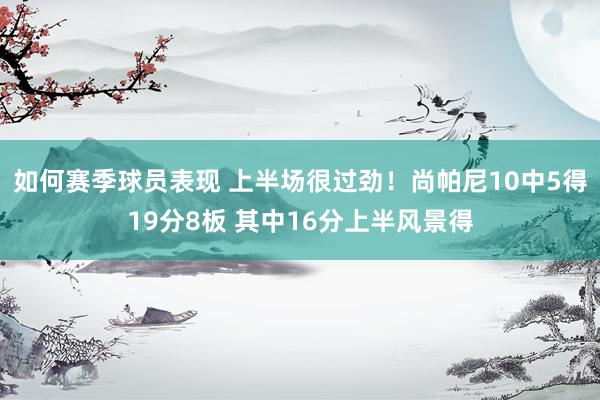 如何赛季球员表现 上半场很过劲！尚帕尼10中5得19分8板 其中16分上半风景得