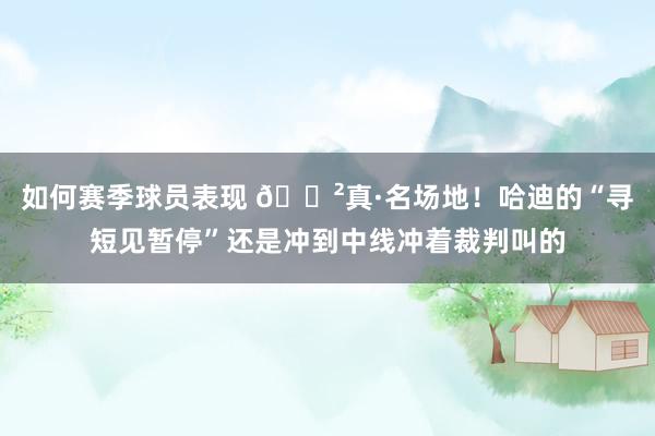 如何赛季球员表现 😲真·名场地！哈迪的“寻短见暂停”还是冲到中线冲着裁判叫的