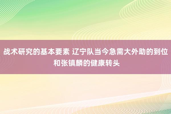 战术研究的基本要素 辽宁队当今急需大外助的到位 和张镇麟的健康转头