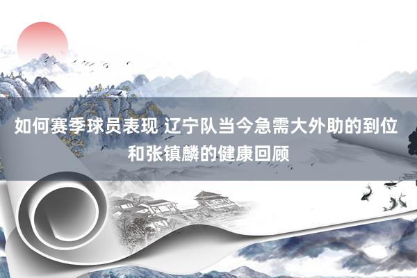 如何赛季球员表现 辽宁队当今急需大外助的到位 和张镇麟的健康回顾