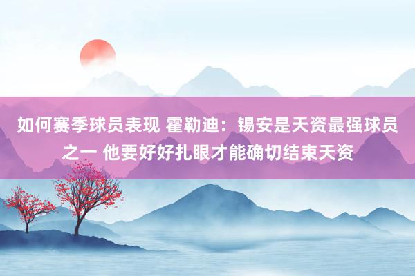 如何赛季球员表现 霍勒迪：锡安是天资最强球员之一 他要好好扎眼才能确切结束天资