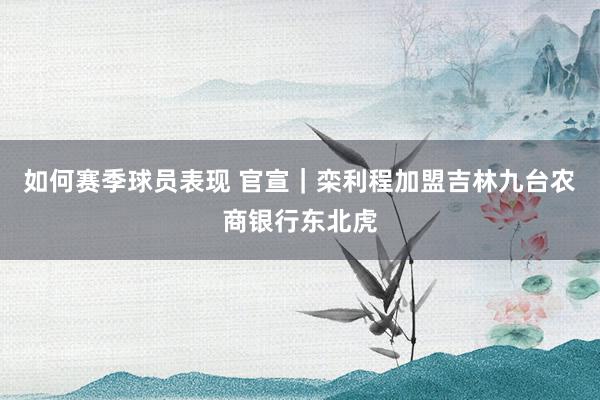 如何赛季球员表现 官宣｜栾利程加盟吉林九台农商银行东北虎