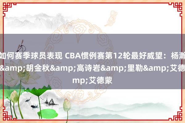 如何赛季球员表现 CBA惯例赛第12轮最好威望：杨瀚森&胡金秋&高诗岩&里勒&艾德蒙