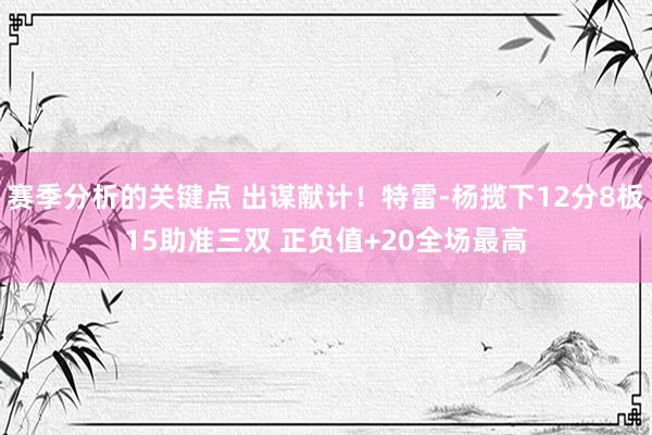 赛季分析的关键点 出谋献计！特雷-杨揽下12分8板15助准三双 正负值+20全场最高