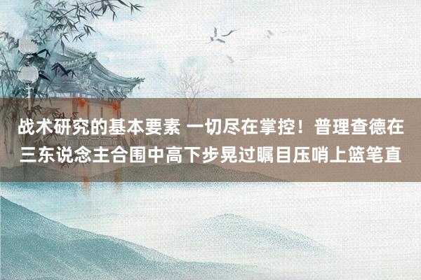 战术研究的基本要素 一切尽在掌控！普理查德在三东说念主合围中高下步晃过瞩目压哨上篮笔直