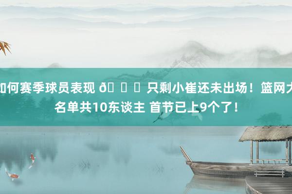 如何赛季球员表现 👀只剩小崔还未出场！篮网大名单共10东谈主 首节已上9个了！