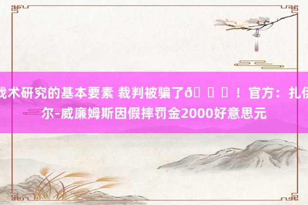 战术研究的基本要素 裁判被骗了😅！官方：扎伊尔-威廉姆斯因假摔罚金2000好意思元